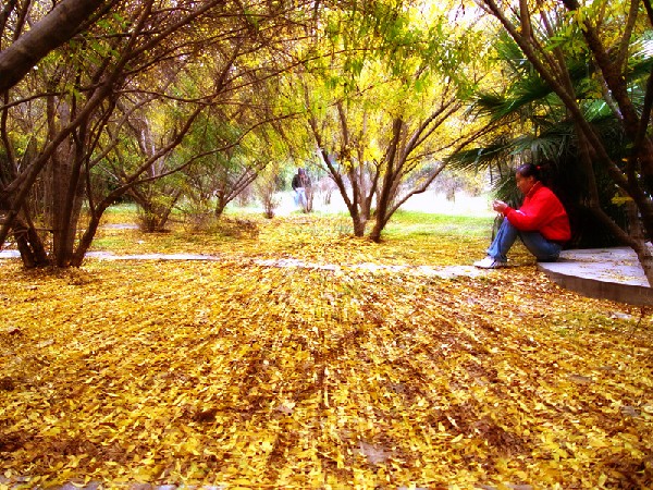 晉安路校區(qū)校內(nèi)一角